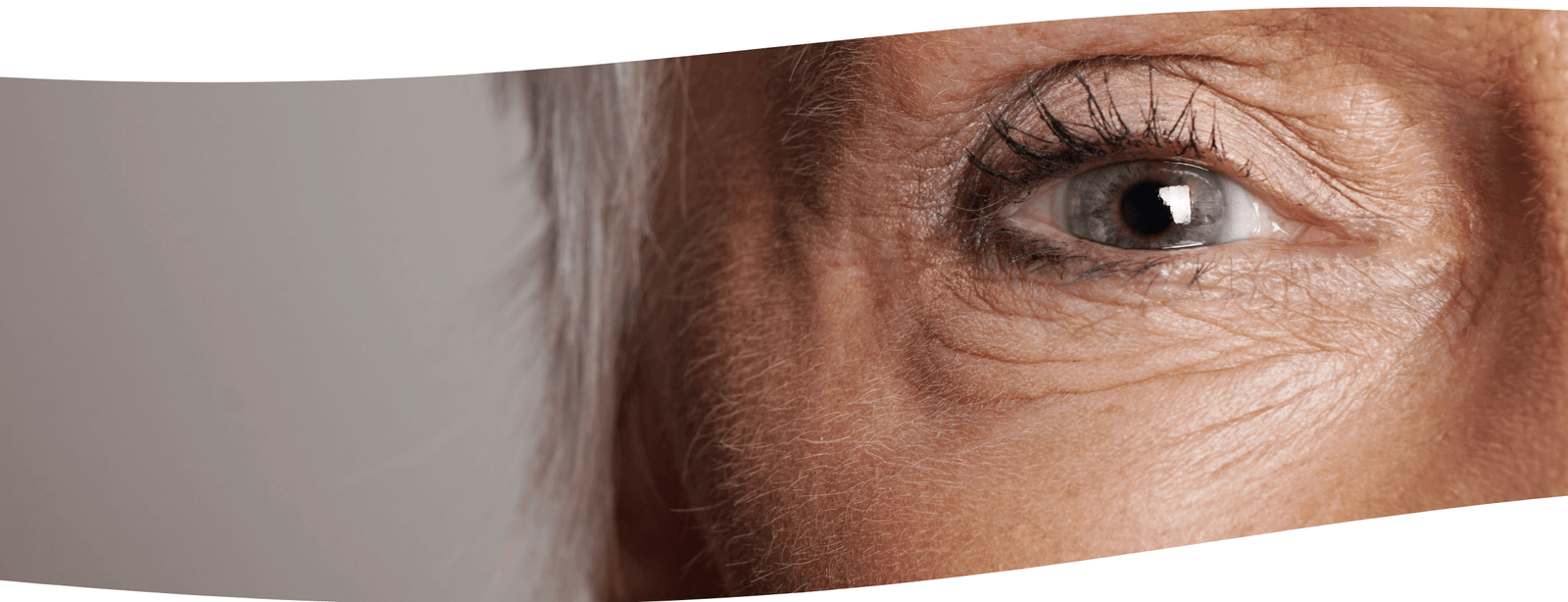 Hongos Funcionales: Aliados Naturales Durante la Menopausia