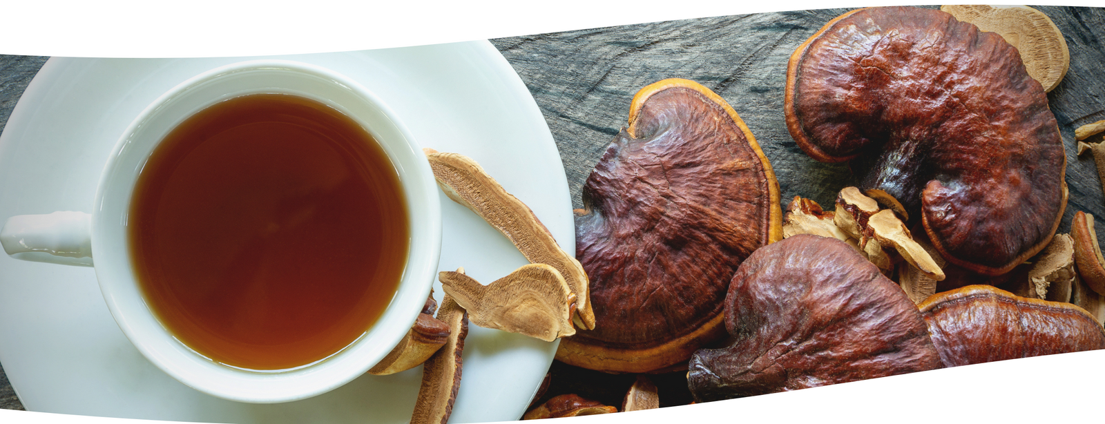 El Hongo de la Inmortalidad y sus Beneficios en tu Dieta