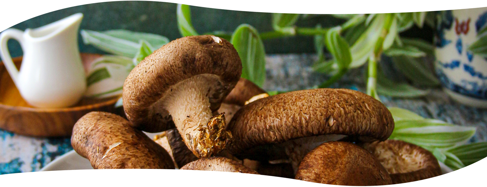 Recetas saludables VitalSetas