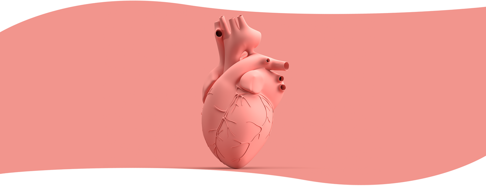 ¡Que no te pase! Prevenir enfermedades cardiovasculares es posible