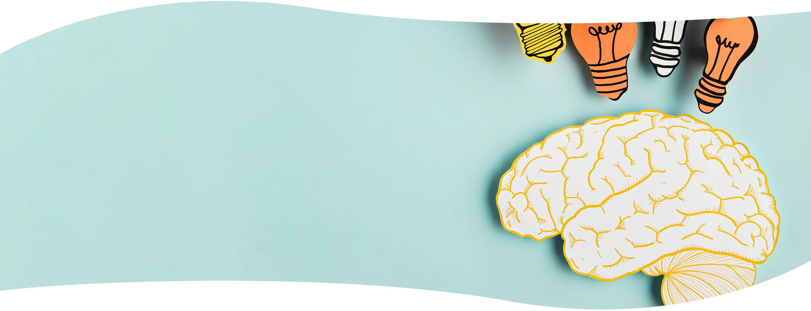 Potenciando tu Mente con Setas: El Poder de la Melena de León y Más