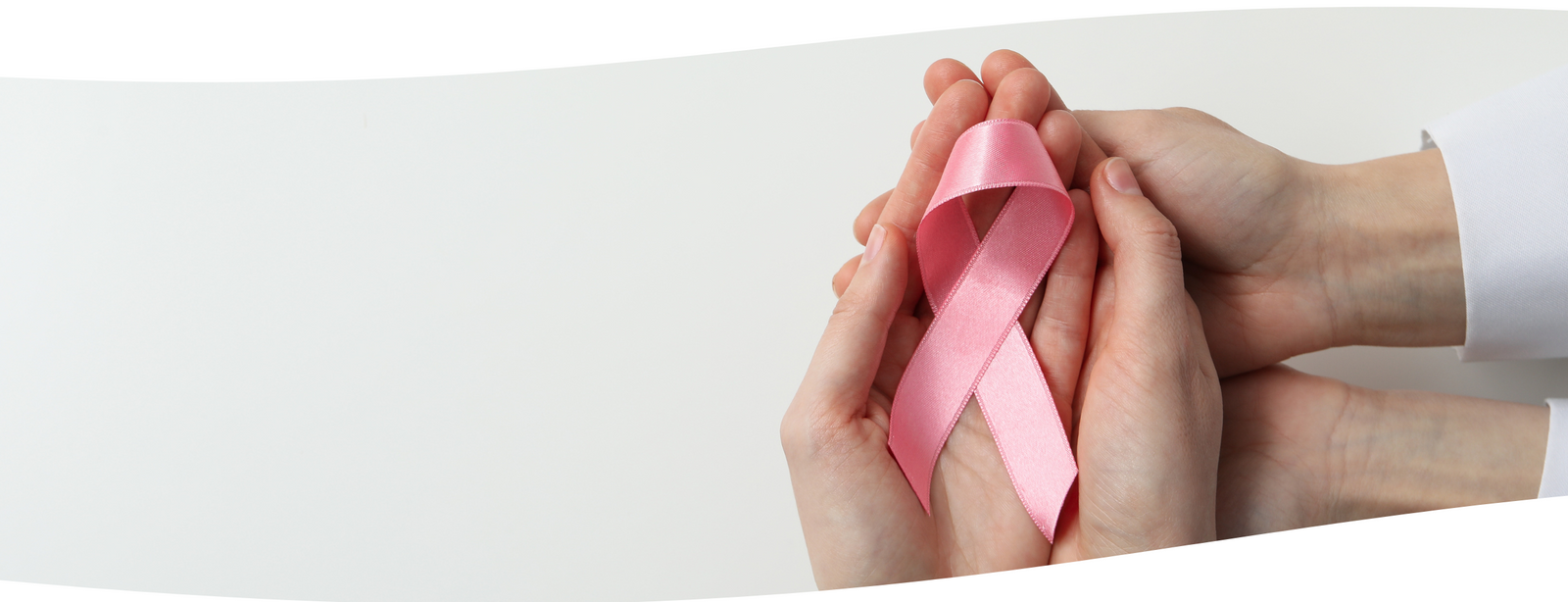 Los Hongos Funcionales: Nuevos Aliados en la Lucha contra el Cáncer