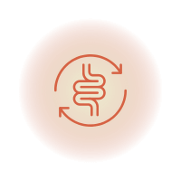 Digestión