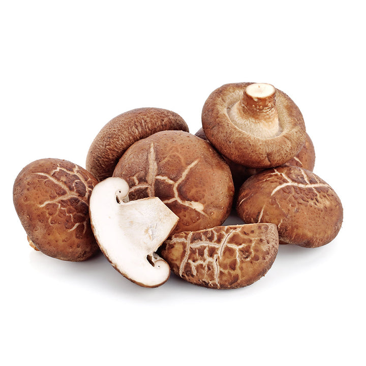 Shiitake (Lentinula edodes (Berk.) Pegler (1976))