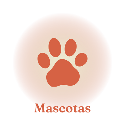 Hongos Funcionales para Mascotas VitalSetas