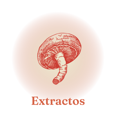 Extractos de Hongos Funcionales VitalSetas