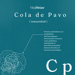 Cápsulas de Cola de Pavo VitalSetas con propiedades inmunomoduladoras y antioxidantes.