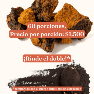 Extracto de Chaga VitalSetas - 60 gramos
