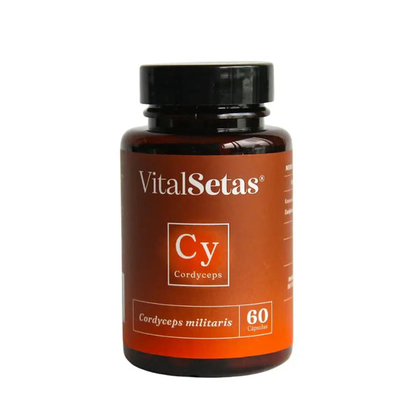 Cápsulas de Cordyceps VitalSetas en botella, 60 cápsulas para aumentar energía y resistencia física.