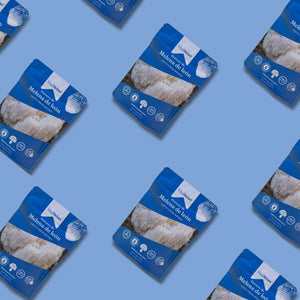 Extracto de Melena de León VitalSetas - 60 gramos