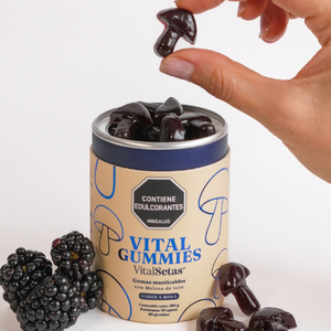 VitalGummies — Gomitas de melena de león | Sabor mora