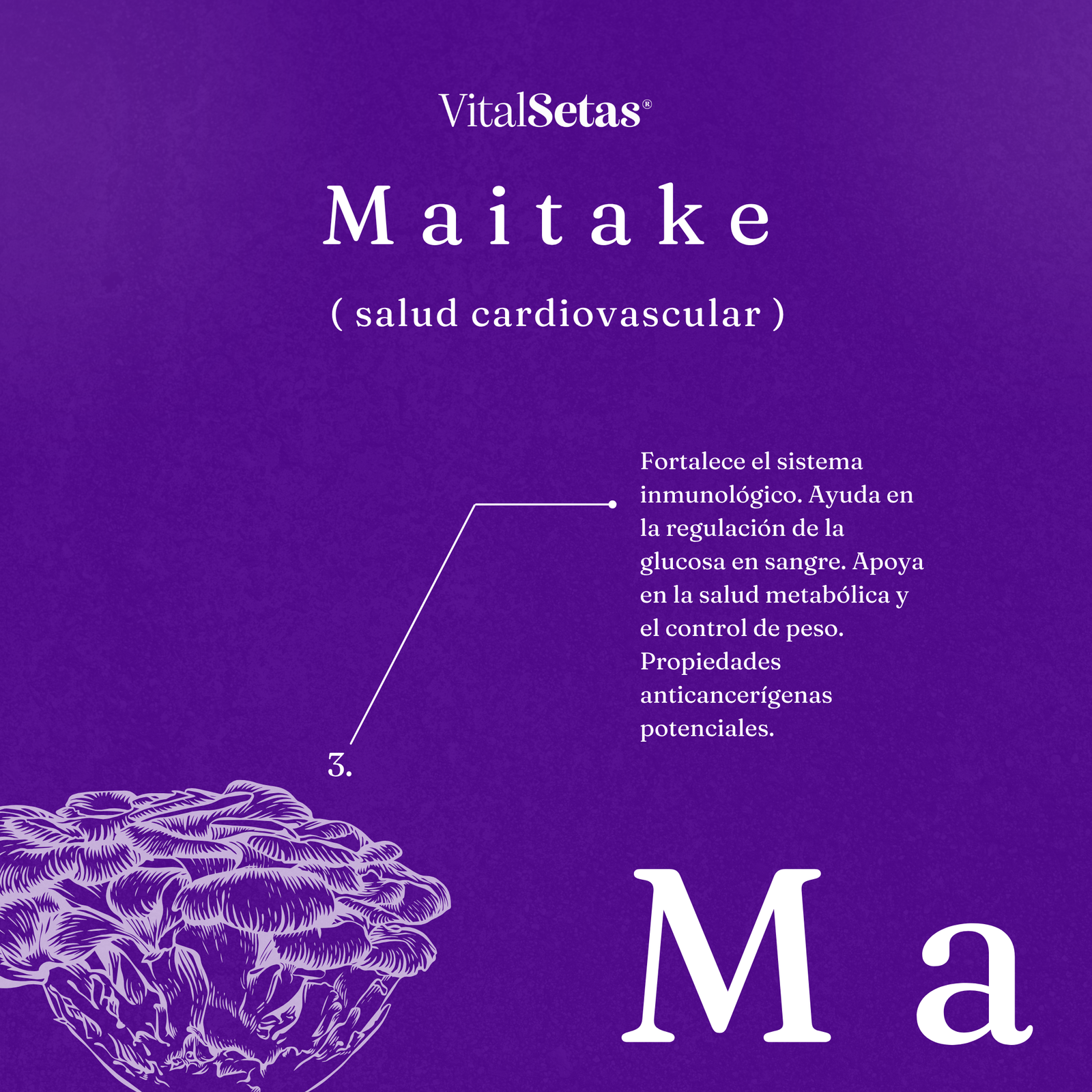 Cápsulas de Maitake VitalSetas