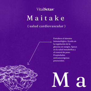 Cápsulas de Maitake VitalSetas, apoyo a la salud cardiovascular y sistema inmunológico.