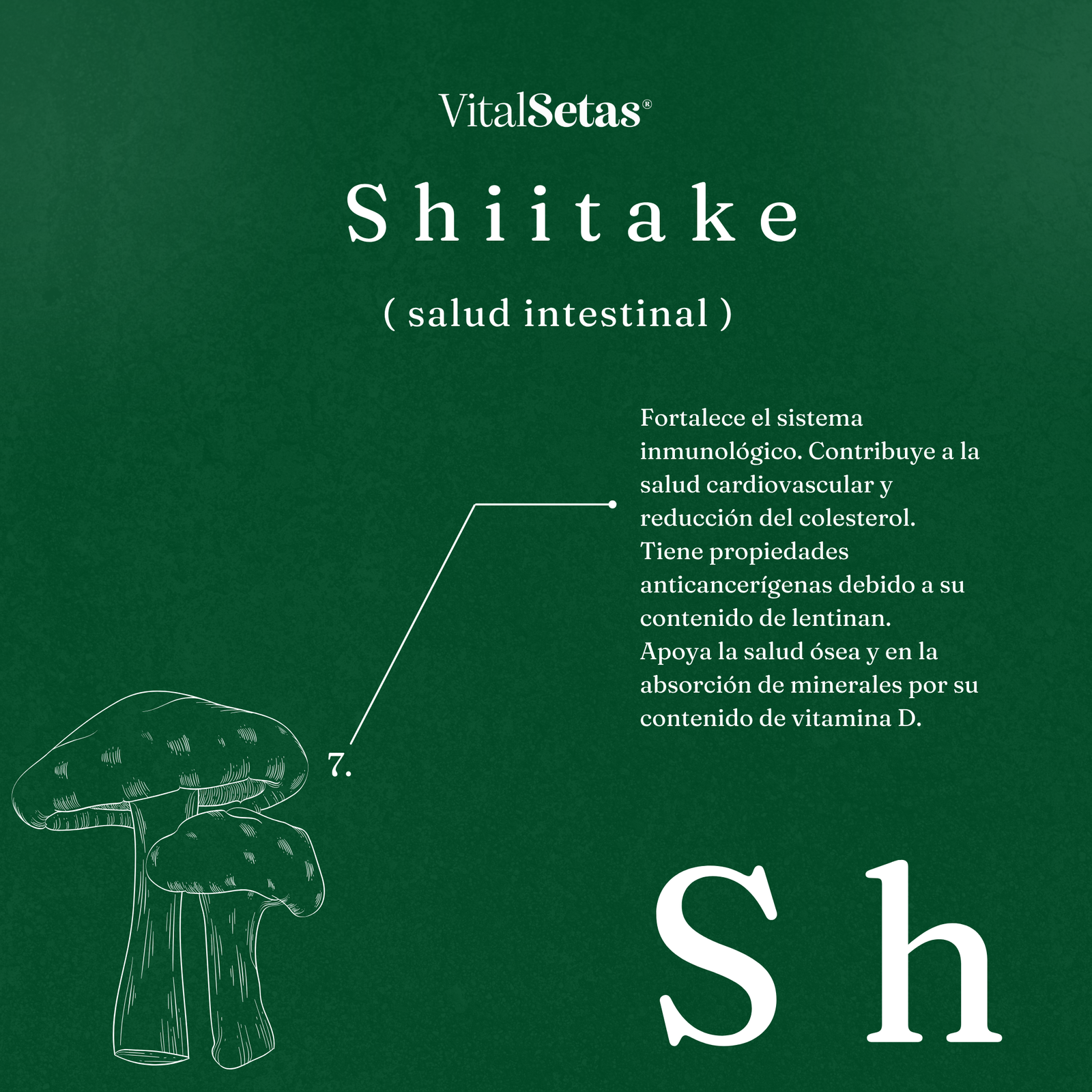 Cápsulas de Shiitake VitalSetas