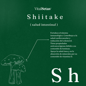 Cápsulas de Shiitake VitalSetas