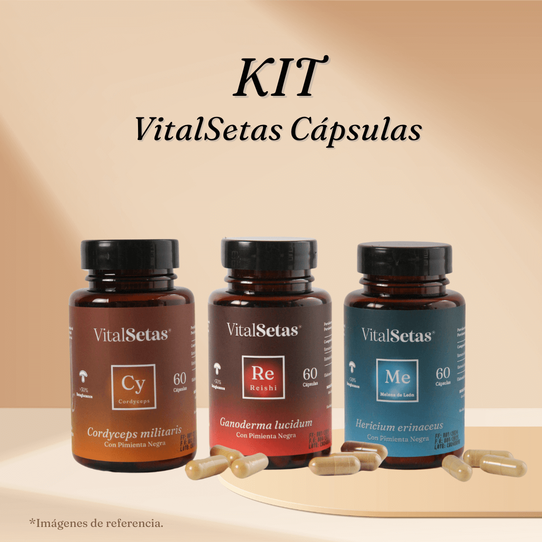 Kit VitalSetas Cápsulas