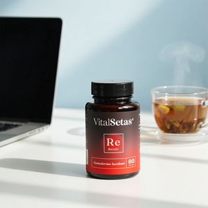 Cápsulas de Reishi VitalSetas Ganoderma