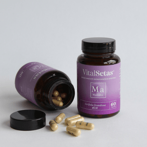 Cápsulas de Maitake VitalSetas en frasco, con cápsulas sobre fondo blanco, destaca su uso para la salud cardiovascular.