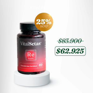 Cápsulas de Reishi VitalSetas Ganoderma