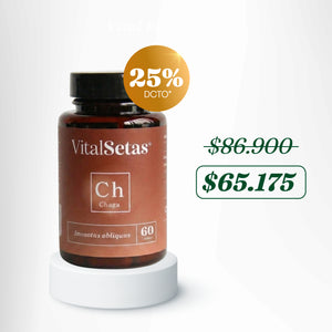 Cápsulas de Chaga VitalSetas