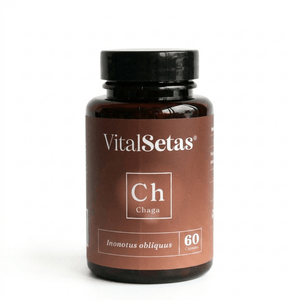 Cápsulas de Chaga VitalSetas en frasco de 60 cápsulas con extracto de chaga para salud y bienestar.