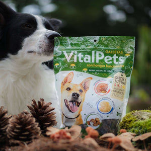 Galletas para perros con hongos funcionales de VitalPets, ingredientes naturales y sabor a tocino.