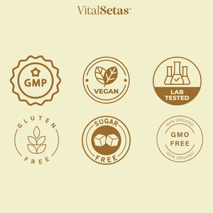 Logos de certificación de VitalSetas: GMP, Vegano, Probado en laboratorio, Sin gluten, Sin azúcar, 100% Orgánico, Sin OGM.
