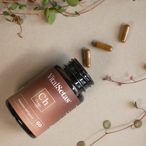 Cápsulas de Chaga VitalSetas en frasco, con cápsulas visibles, destacando los beneficios antioxidantes.