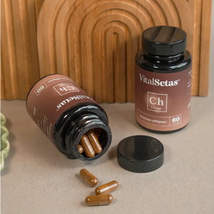 Cápsulas de Chaga VitalSetas en frascos, con cápsulas caídas sobre una superficie decorativa.