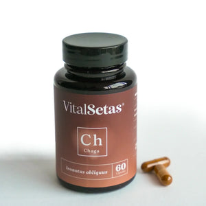 Cápsulas de Chaga VitalSetas en envase de 60 cápsulas, suplementado con betaglucanos.