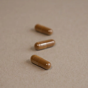 Cápsulas de Chaga VitalSetas en primer plano sobre fondo marrón.