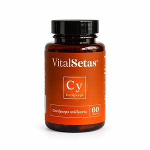 Cápsulas de cordyceps VitalSetas, frasco de 60 cápsulas