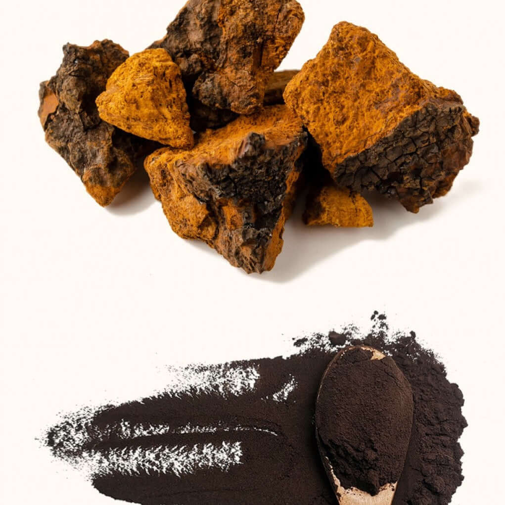 Extracto de Chaga VitalSetas - 60 gramos