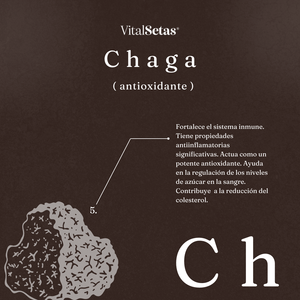 Cápsulas de Chaga VitalSetas, información sobre propiedades antioxidantes y beneficios para la salud.