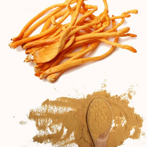 Extracto de Cordyceps VitalSetas - 60 gramos, setas de Cordyceps y polvo, producto orgánico.