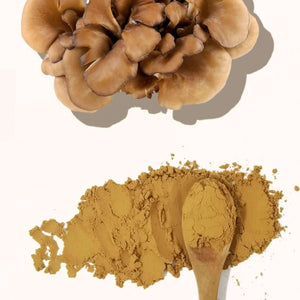 Cápsulas de Maitake VitalSetas y polvo de hongo Maitake en cucharada