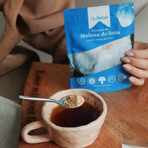 Extracto de Melena de León VitalSetas - 60 gramos, polvo de seta en cuchara sobre taza de té.