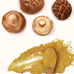 Cápsulas de Shiitake VitalSetas