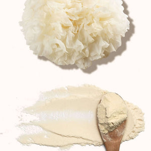 Cápsulas de Tremella VitalSetas, extracto puro de Tremella y polvo en cucharón, beneficios hidratantes.