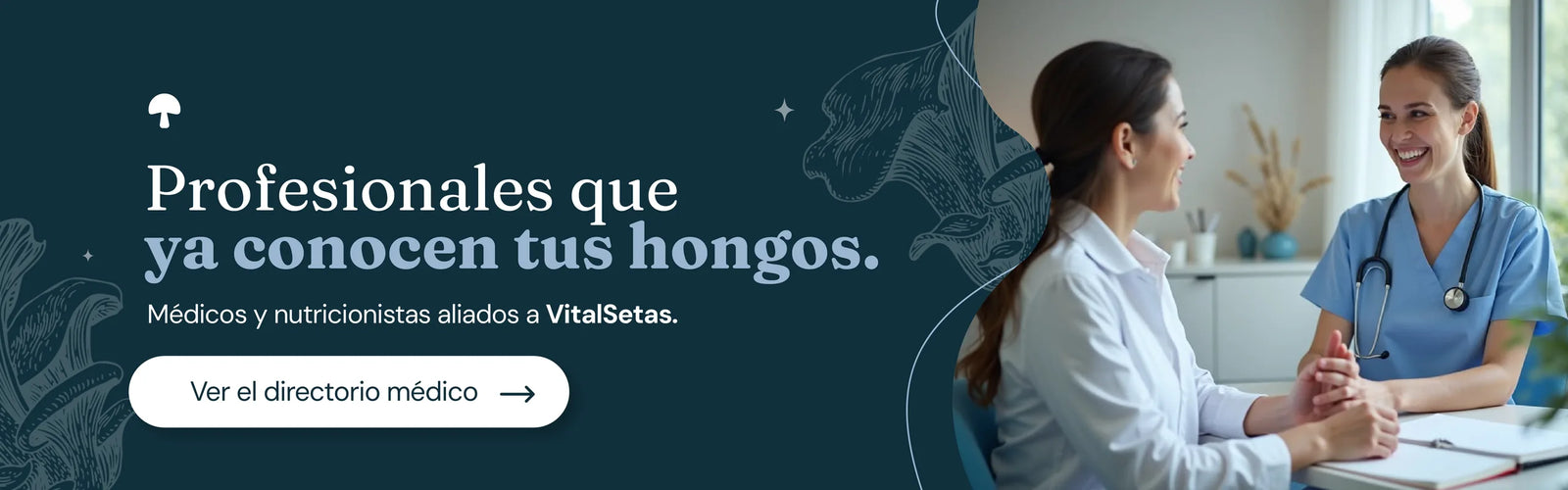 Directorio médico VitalSetas: médicos y nutricionistas aliados