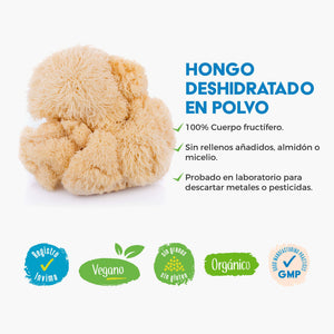 Galletas para perros con hongos funcionales: VitalPets