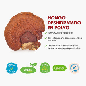 Galletas para perros con hongos funcionales: VitalPets