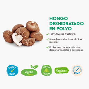 Galletas para perros con hongos funcionales: VitalPets